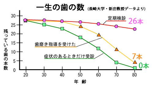 グラフ 一生の歯の数（長崎大学新庄教授データより）